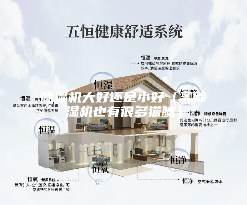 除湿机大好还是小好（买除湿机也有很多猫腻）