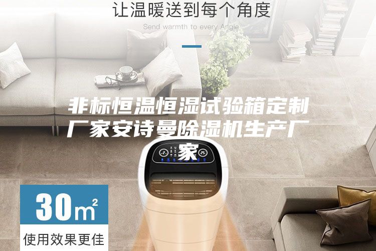 非标恒温恒湿试验箱定制厂家安诗曼除湿机生产厂家