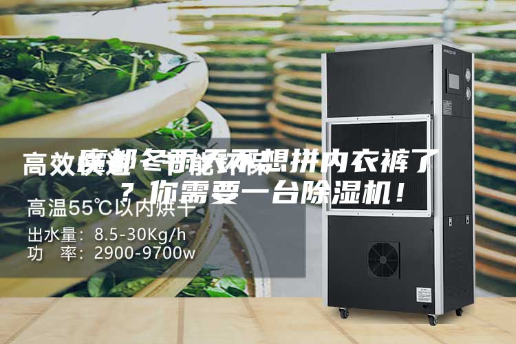 魔都冬雨天不想拼内衣裤了？你需要一台除湿机！