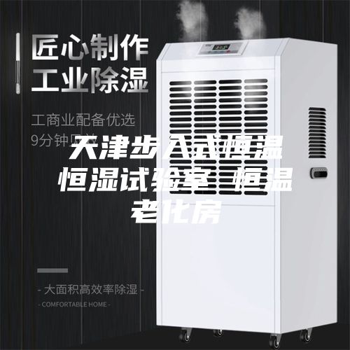 天津步入式恒温恒湿试验室 恒温老化房