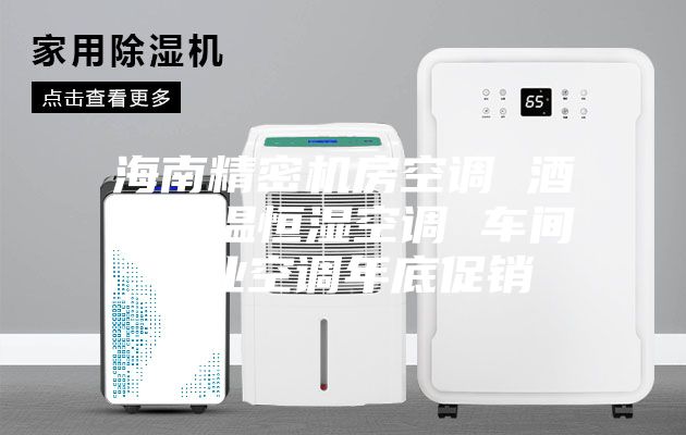 海南精密机房空调 酒窖恒温恒湿空调 车间工业空调年底促销