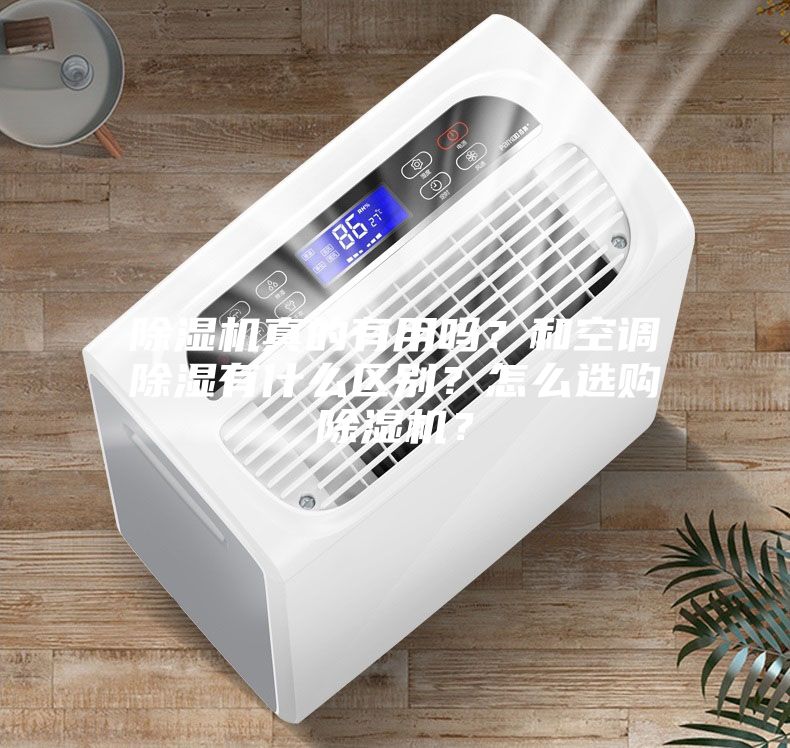 除湿机真的有用吗？和空调除湿有什么区别？怎么选购除湿机？