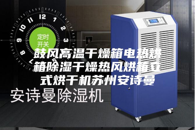 鼓风高温干燥箱电热烘箱除湿干燥热风烘箱立式烘干机苏州安诗曼