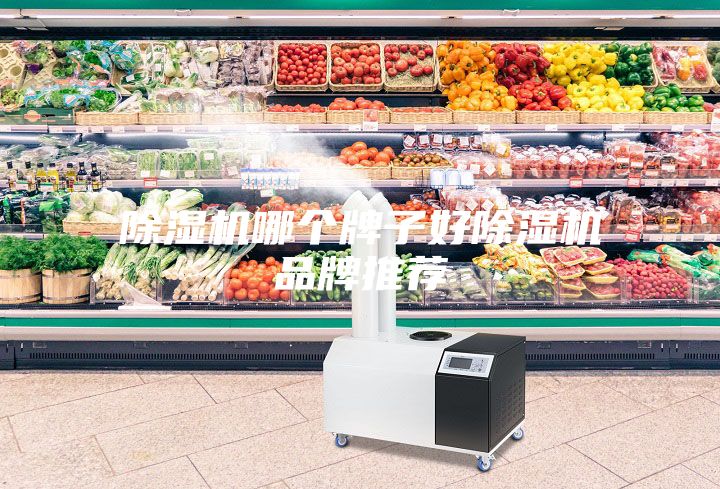 除湿机哪个牌子好除湿机品牌推荐