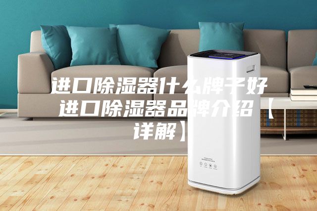 进口除湿器什么牌子好 进口除湿器品牌介绍【详解】