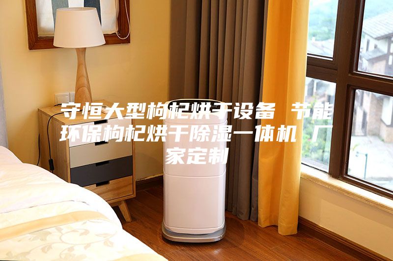 守恒大型枸杞烘干设备 节能环保枸杞烘干除湿一体机 厂家定制