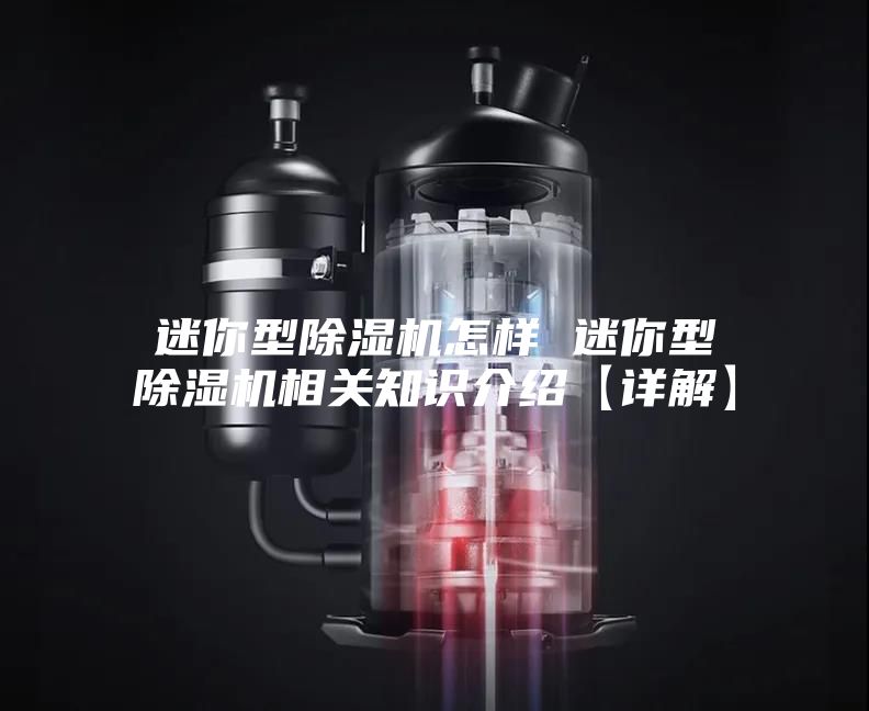 迷你型除湿机怎样 迷你型除湿机相关知识介绍【详解】