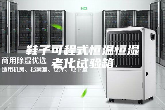 鞋子可程式恒温恒湿老化试验箱