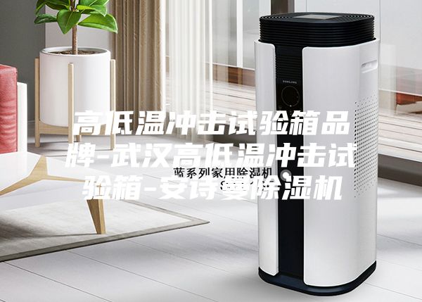 高低温冲击试验箱品牌-武汉高低温冲击试验箱-安诗曼除湿机