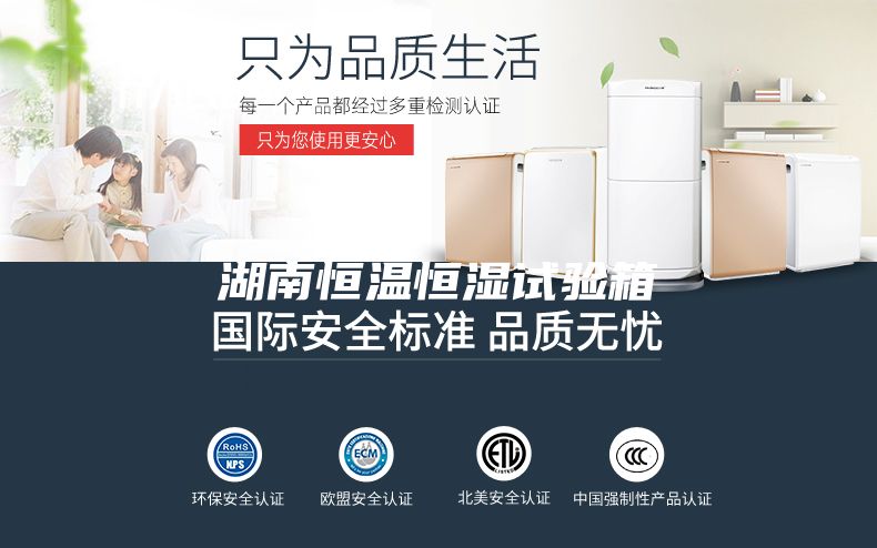 湖南恒温恒湿试验箱