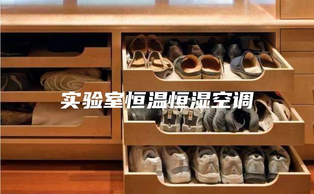 实验室恒温恒湿空调