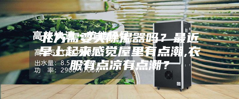 北方需要买除湿器吗？最近早上起来感觉屋里有点潮,衣服有点凉有点潮？