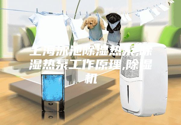 上海泳池除湿热泵,除湿热泵工作原理,除湿机