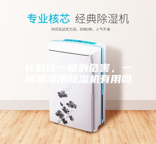长期住一楼的危害，一楼潮湿用除湿机有用吗