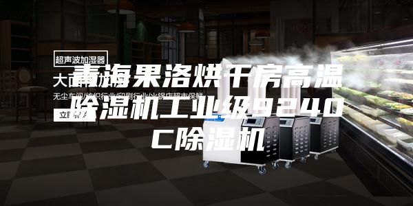 青海果洛烘干房高温除湿机工业级9240C除湿机
