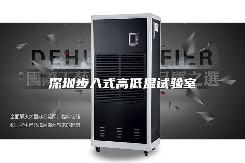 深圳步入式高低温试验室