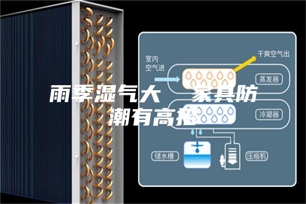雨季湿气大  家具防潮有高招