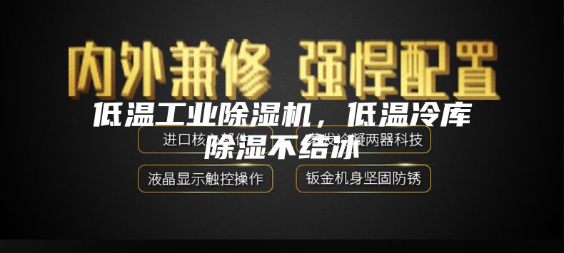 低温工业除湿机，低温冷库除湿不结冰