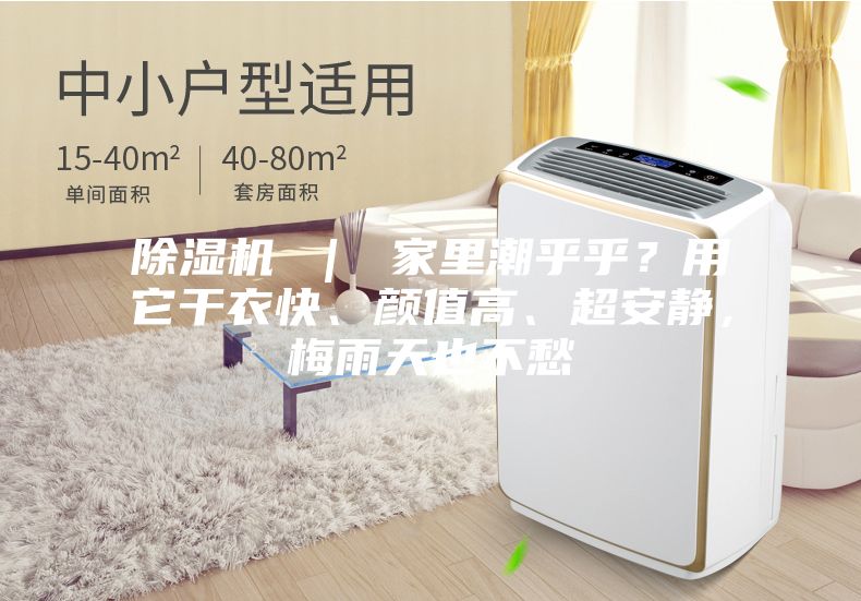 除湿机 ｜ 家里潮乎乎？用它干衣快、颜值高、超安静，梅雨天也不愁