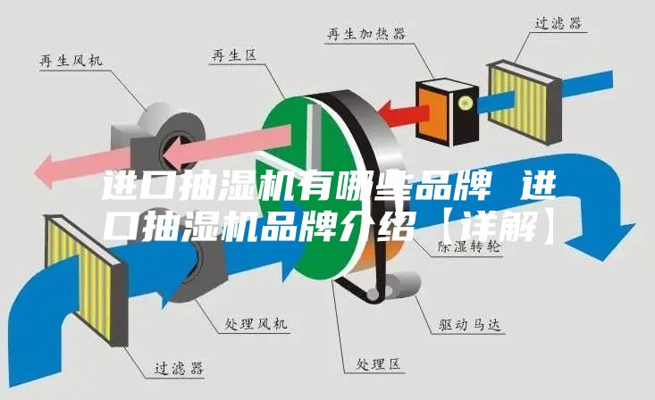 进口抽湿机有哪些品牌 进口抽湿机品牌介绍【详解】