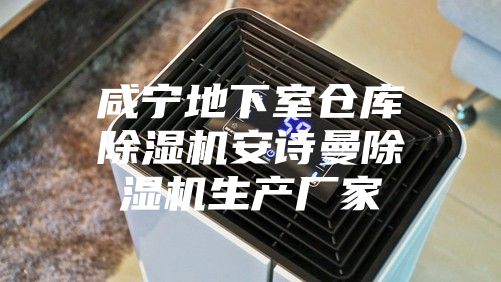 咸宁地下室仓库除湿机安诗曼除湿机生产厂家