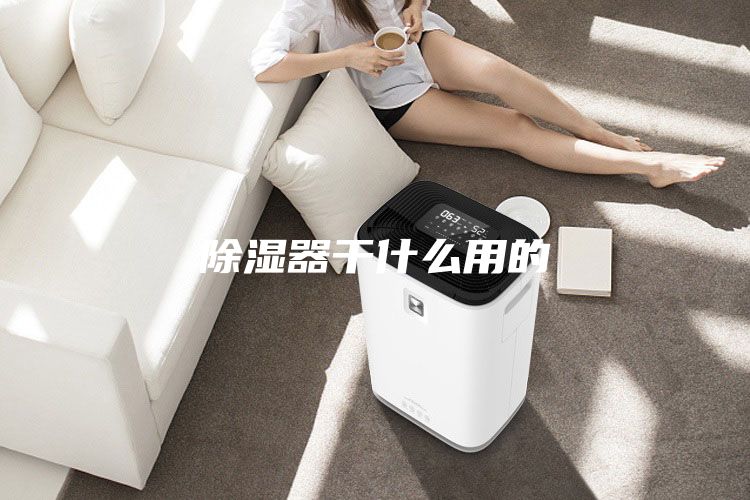 除湿器干什么用的