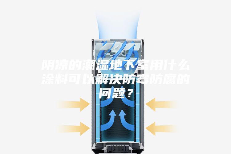阴凉的潮湿地下室用什么涂料可以解决防霉防腐的问题？