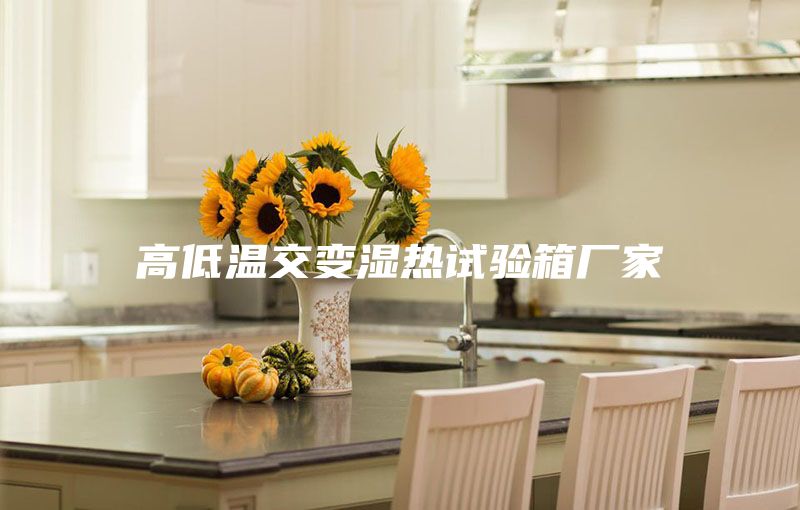 高低温交变湿热试验箱厂家