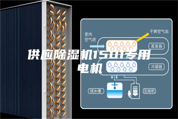 供应除湿机1501专用电机