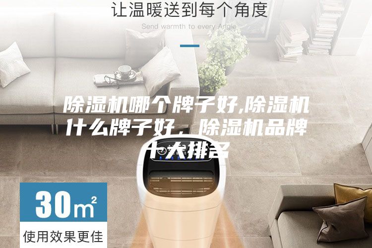 除湿机哪个牌子好,除湿机什么牌子好，除湿机品牌十大排名