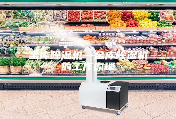 金库除湿机—金库除湿机的工作原理