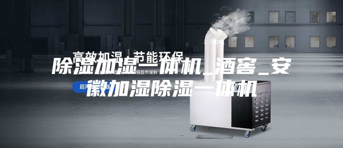 除湿加湿一体机_酒窖_安徽加湿除湿一体机