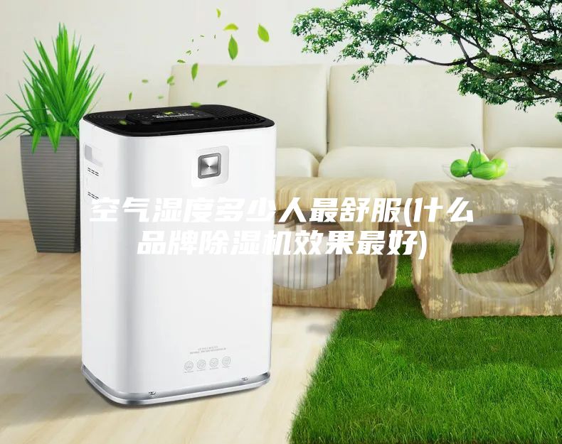 空气湿度多少人最舒服(什么品牌除湿机效果最好)