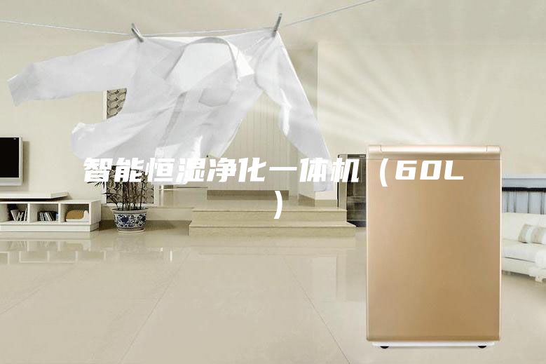智能恒湿净化一体机（60L）