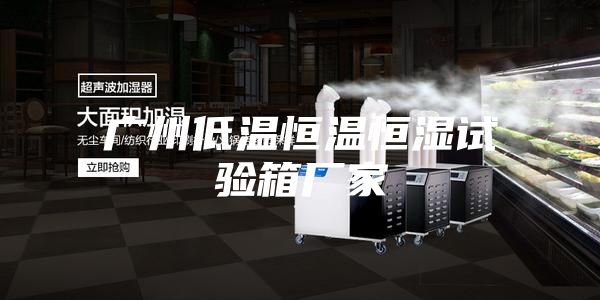 广州低温恒温恒湿试验箱厂家
