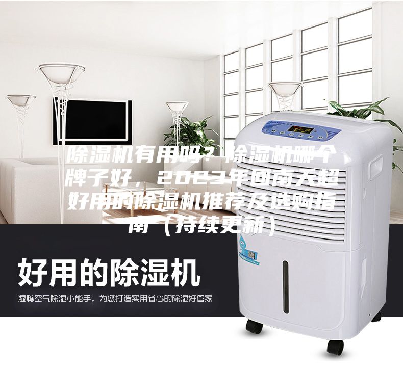 除湿机有用吗？除湿机哪个牌子好，2023年回南天超好用的除湿机推荐及选购指南（持续更新）