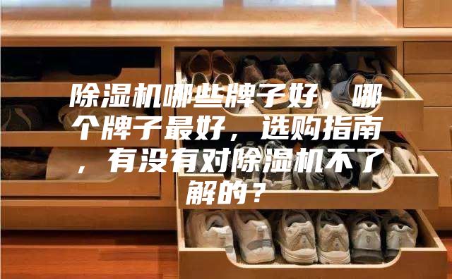 除湿机哪些牌子好，哪个牌子最好，选购指南，有没有对除湿机不了解的？