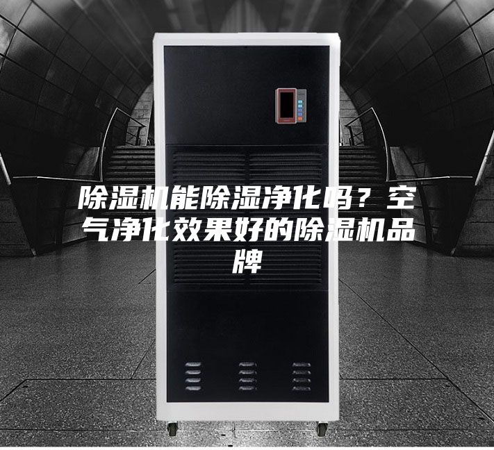 除湿机能除湿净化吗？空气净化效果好的除湿机品牌