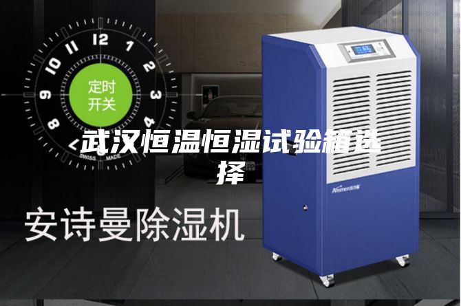 武汉恒温恒湿试验箱选择
