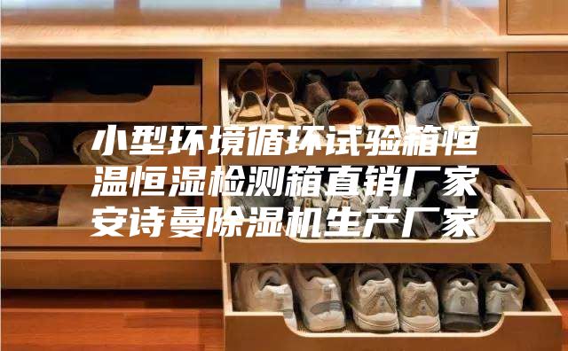 小型环境循环试验箱恒温恒湿检测箱直销厂家安诗曼除湿机生产厂家