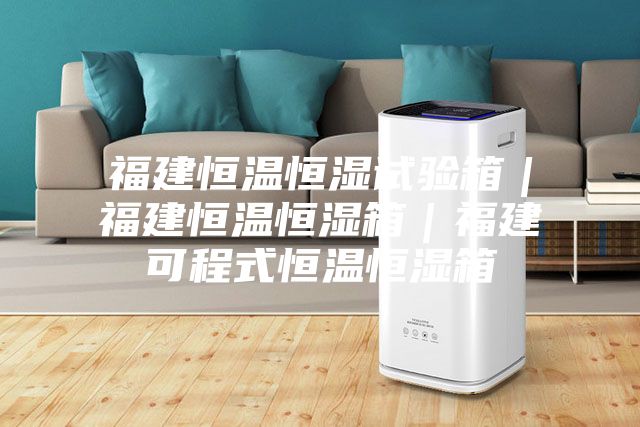 福建恒温恒湿试验箱｜福建恒温恒湿箱｜福建可程式恒温恒湿箱