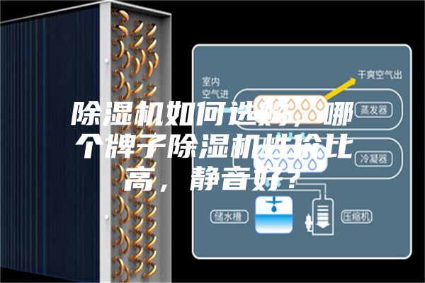 除湿机如何选购，哪个牌子除湿机性价比高，静音好？