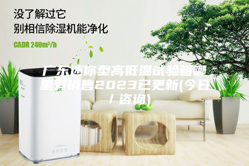 广东迷你型高低温试验箱哪里有销售2023已更新(今日／咨询)