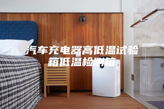 汽车充电器高低温试验箱低温检测箱