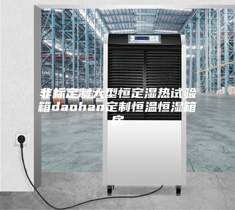 非标定制大型恒定湿热试验箱daohan定制恒温恒湿箱房