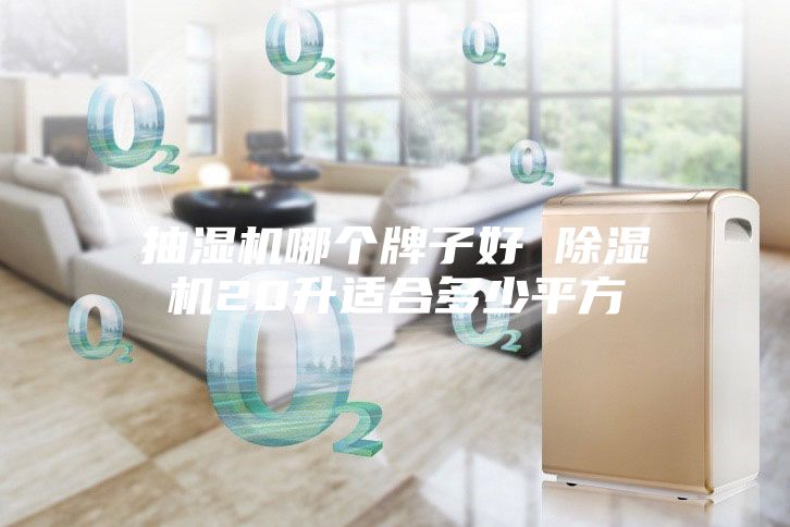 抽湿机哪个牌子好 除湿机20升适合多少平方