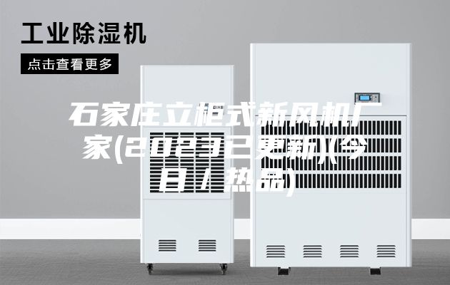 石家庄立柜式新风机厂家(2023已更新)(今日／热品)