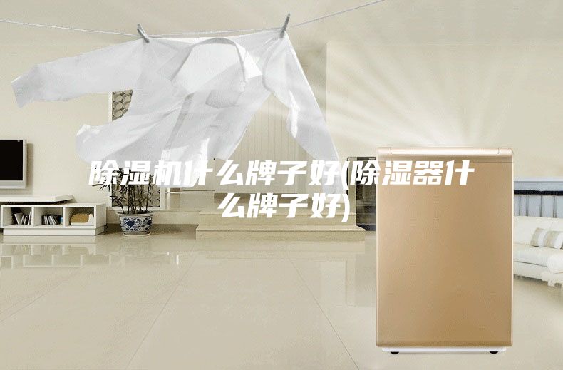除湿机什么牌子好(除湿器什么牌子好)