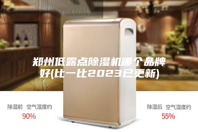 郑州低露点除湿机哪个品牌好(比一比2023已更新)
