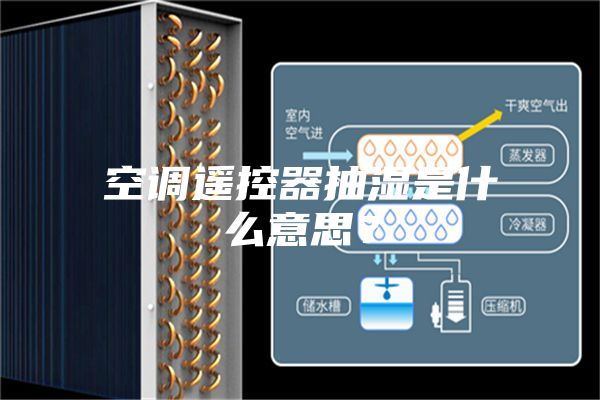 空调遥控器抽湿是什么意思？